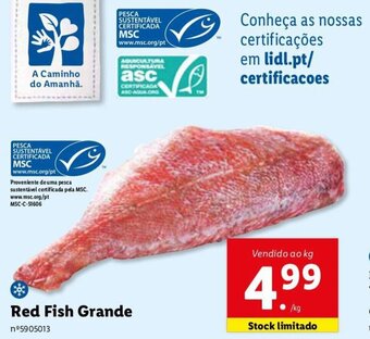 Lidl Red Fish Grande promoção