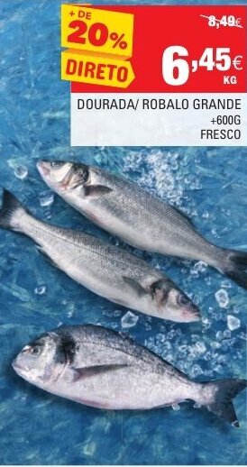 Continente Dourada/Robalo Grande 600g promoção