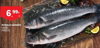 Continente Robalo Grande +600g Fresco promoção