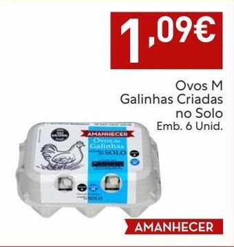 Amanhecer Ovos amanhecer promoção