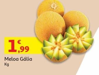 Auchan Meloa galia:kg promoção