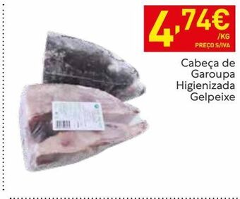 Recheio Peixe promoção