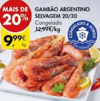 Gambão Argentino Selvagem 20/30
