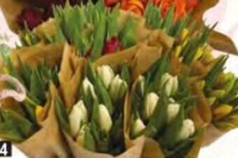 Molho de Tulipas