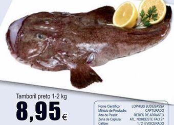 Froiz Peixe promoção