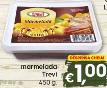Bolama Marmelada Trevi 450g promoção