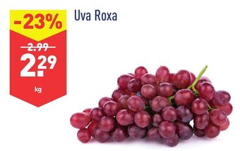 ALDI Uva Roxa promoção