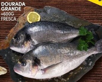 Continente Dourada Grande +600g Fresca promoção