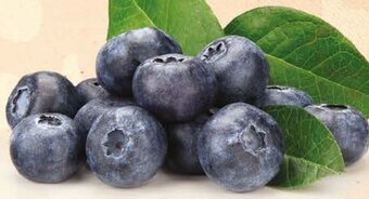 Pingo Doce Mirtilo 500g promoção