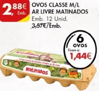 Pingo Doce Ovos Classe M/L Ar Livre Matinados 12 Unid promoção