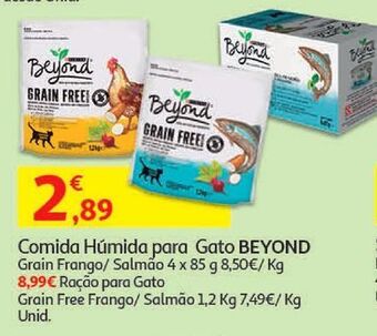 Auchan Ração gato beyond promoção
