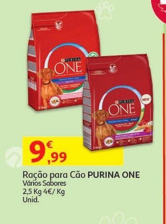 Auchan Ração cão purina one promoção