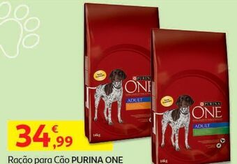 Auchan Ração cão purina one promoção