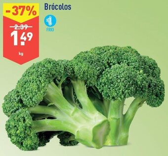 ALDI Brócolos promoção