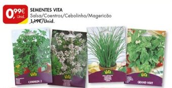 Pingo Doce Sementes Vita promoção