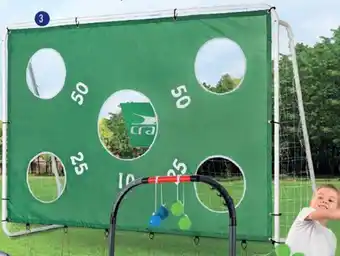 ALDI Crane Baliza de Futebol com Parede Kick-point 240 x 170 x 85cm promoção