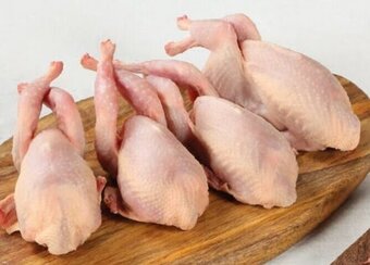 Intermarché Codorniz promoção