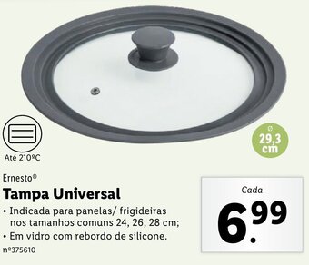 Lidl Ernesto Tampa Universal 29,3cm promoção