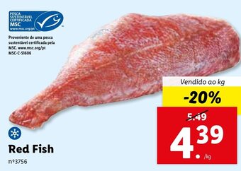 Lidl Red Fish promoção