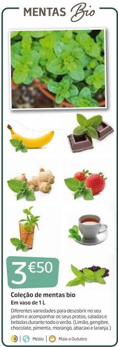 Jardiland Plantas aromáticas promoção