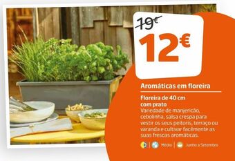 Jardiland Plantas aromáticas promoção