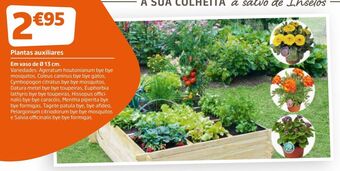 Jardiland Plantas promoção