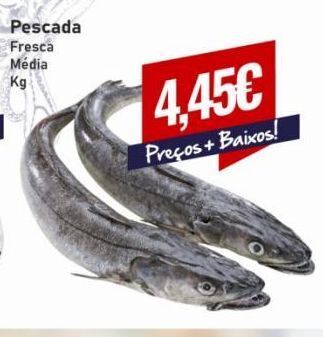 Belita Peixe promoção