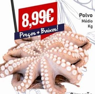 Belita Polvo promoção