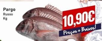 Belita Peixe promoção