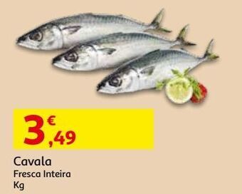 Auchan Cavala:fresca inteira kg promoção