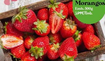 Pingo Doce Morangos 500g promoção