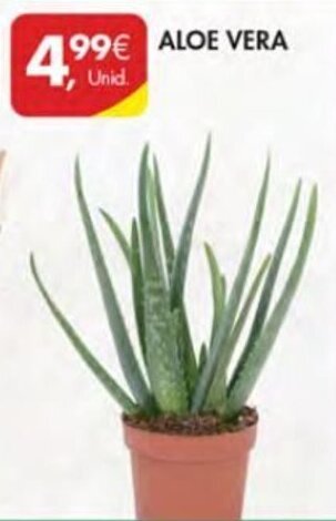Pingo Doce Aloe Vera promoção