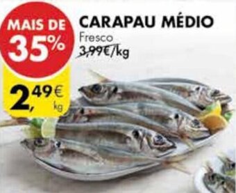 Pingo Doce Carapau Médio promoção