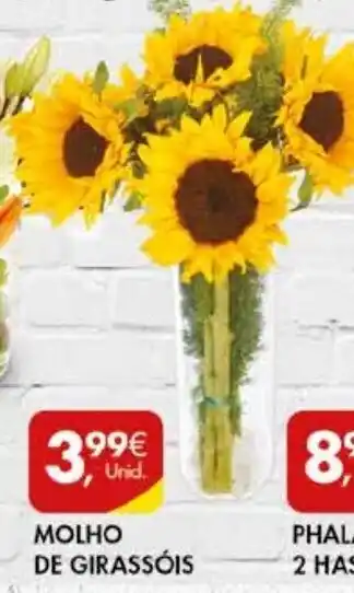 Pingo Doce Molho de Girassóis promoção