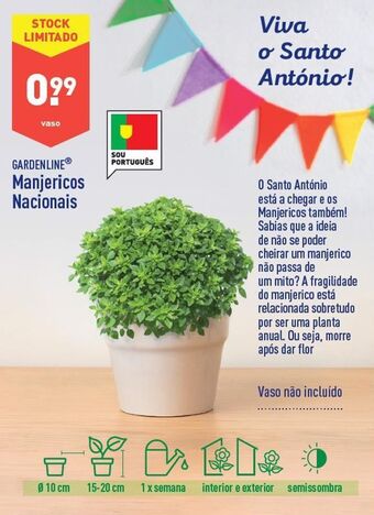 ALDI Plantas promoção