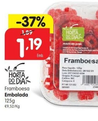 Framboesa