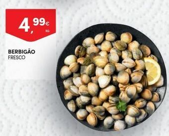 Continente Bom dia Marisco promoção