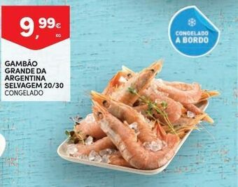Continente Bom dia Gambão promoção