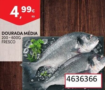 Continente Dourada Média 200-600g promoção