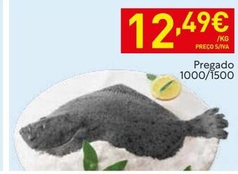 Recheio Peixe promoção