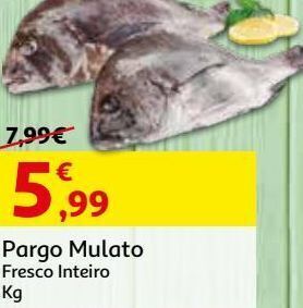 Auchan Pargo mulato promoção
