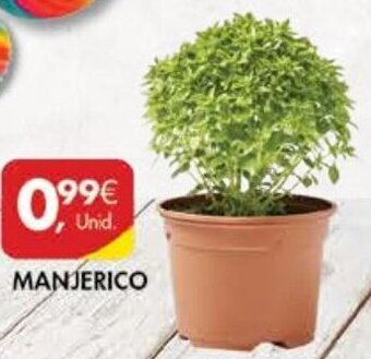 Pingo Doce Manjerico promoção