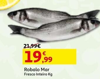 Auchan Robalo mar fresco inteiro kg promoção