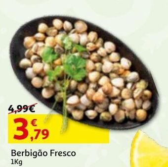 Auchan Berbigão fresco 1 kg promoção