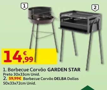 Auchan Barbecue carvão garden star promoção