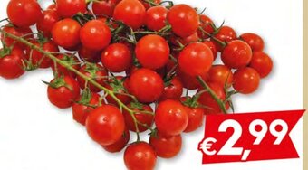 Bolama Tomate Cherry promoção