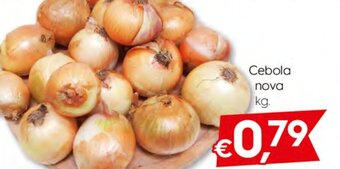 Bolama Cebola Nova promoção