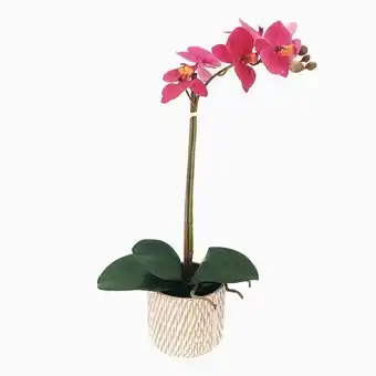Orquídea rosa em vaso a.48cm