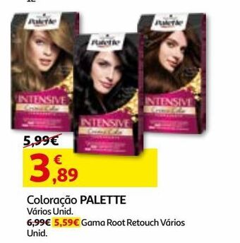 Auchan Coloração cabelo palette promoção