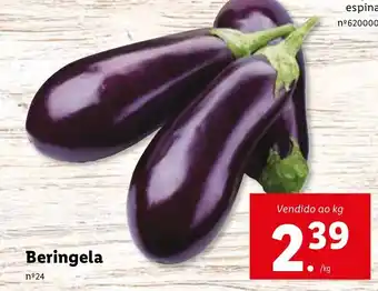 Lidl Berinjela 1kg promoção